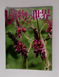 植物の世界 45 2/26 ダイズデイコアズキ