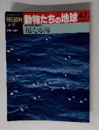 朝日百科　動物たちの地球47　5月17日号