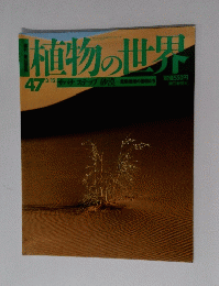 植物の世界　３月１２日　No. 47