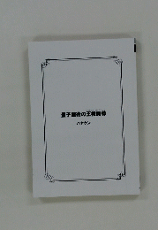 量子魔術の王権魔導　ハヤケン