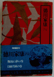 徳川家康（八）