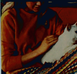 afghans　knit　and　crochet