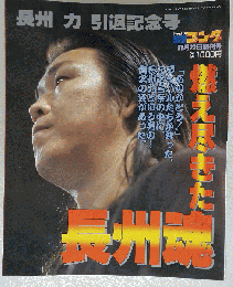 週刊ゴング11月22日増刊号