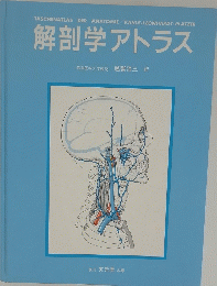 解剖学アトラス　