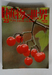 植物の世界　25　ナスホオズキ