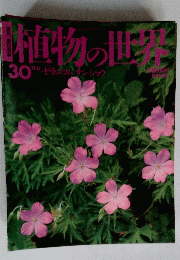 直植物の世　30　ゼラニウム、サンショウ