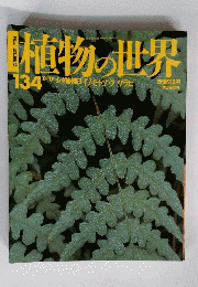 植物の世界　134 11/17　イノモトソウワラビ