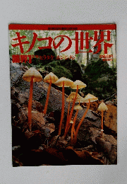 キノコの世界　菌界1