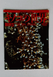 キノコの世界　菌界５