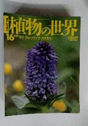 植物の世界16　キリ ウルップソウタヌキモ