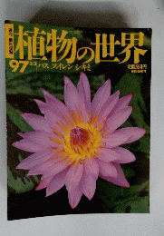 植物の世界97　ハススイレンシキミ