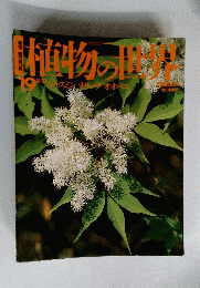 植物の世界　１９　８月２１日号