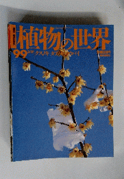 植物の世界　99　３月１７日号