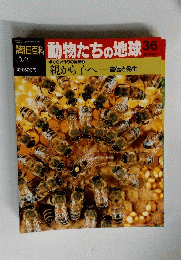 朝日百科　動物たちの地球　36　