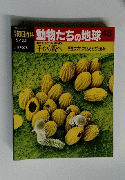 朝日百科　5月24日号　動物たちの地球　48
