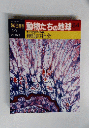 朝日百科　動物たちの地球84　2/7