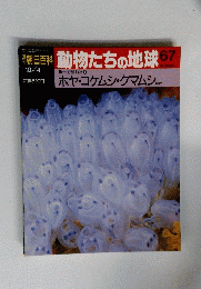 朝日百科動物たちの地球　67号　1992年10月4日号