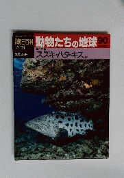 朝日百科　動物たちの地球90