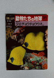 朝日百科　動物たちの地球91　3/28