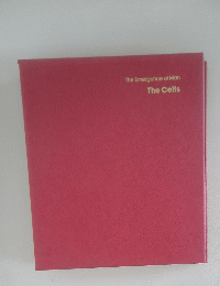 The　Emergence　of　Man　The　Celts
