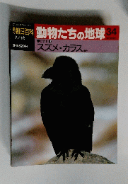 動物たちの地球　34