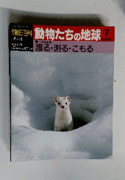 朝日百科　動物たちの地球　７　８月４日号