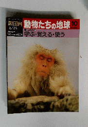 動物たちの地球　10