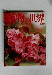 植物の世界52