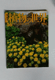 植物の世界　56　5月14日号　ベンケイソウスクリ