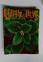 植物の世界　89　12月31日