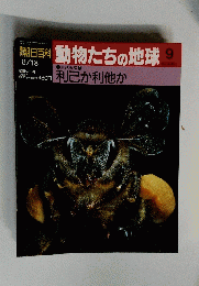 朝日百科　動物たちの地球　利己か利他か　9号　8月18日号