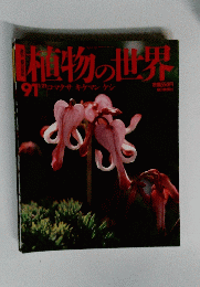 植物の世界　91　1月21日号