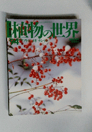 植物の世界94
