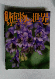 植物の世界　92　1/28