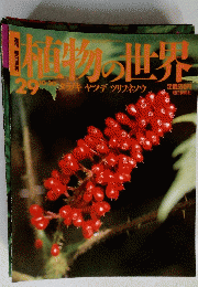 週刊朝日百科 　植物の世界　29　10月30日号