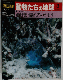 朝日百科　動物たちの地球　3　7月7日号