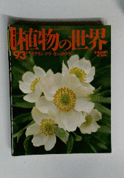 植物の世界　93　イチリンソウ キンポウゲ