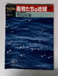 動物たちの地球　47