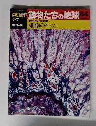 動物たちの地球　84　２月７日号