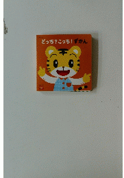 どっち?こっち!ずかん