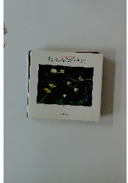 花・おんなの遠近