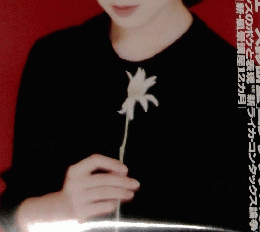 アサヒカメラ　1995年1月号