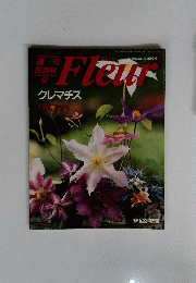 Fleur　1996年5月23日号　