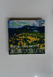 山の渓谷　1994年　Special　　