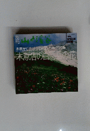 木原浩の白馬岳の花 1994
