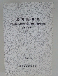 北青山遺跡　1997年6月号　