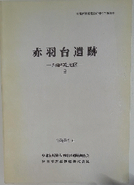 赤羽台遺跡　八幡神社地区 2　1991年
