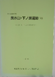 泉水山・下ノ原遺跡　VII　１９９８年号