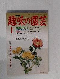 趣味の園芸　1月号