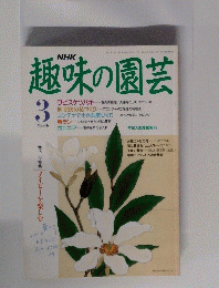 趣味の園芸　3月号　アイビーを楽しむ